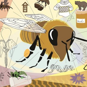 Obří žihadlo i včelí roj budou atrakcí výstavy v Senátu